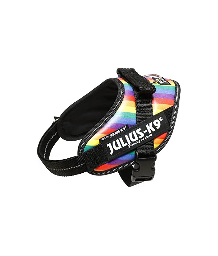 ARNES PERROS JULIUS K-9 IDC T-BABY2 RAINBOW