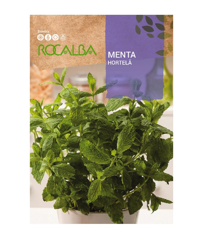 MENTA ROCALBA 0 5GR