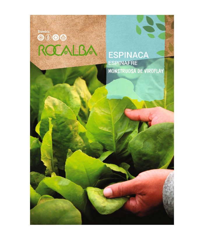 ESPINACA VIROFLAY ROCALBA 10G