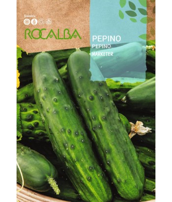 PEPINO MARKETER ROCALBA 6G