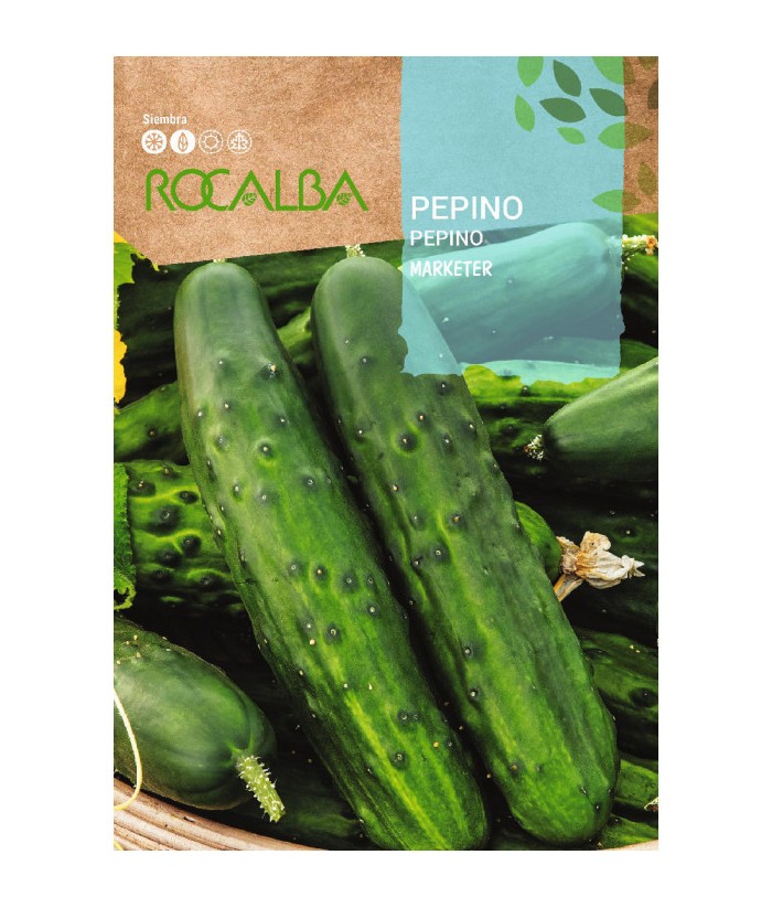 PEPINO MARKETER ROCALBA 6G