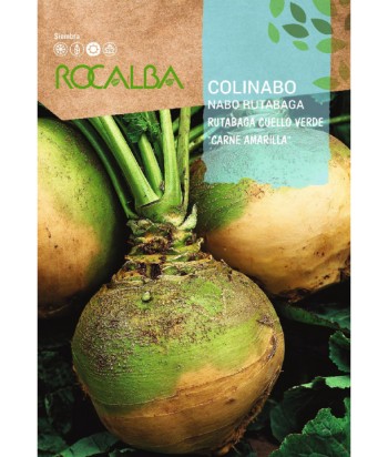 COLINABO RUTABAGA CUELLO VERDE 10GR