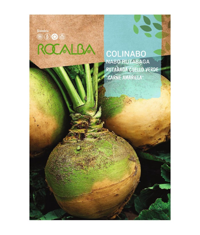 COLINABO RUTABAGA CUELLO VERDE 10GR