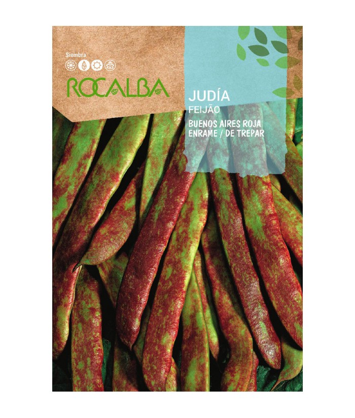 JUDIA BUENOS AIRES ROJA 250GR ROCALBA