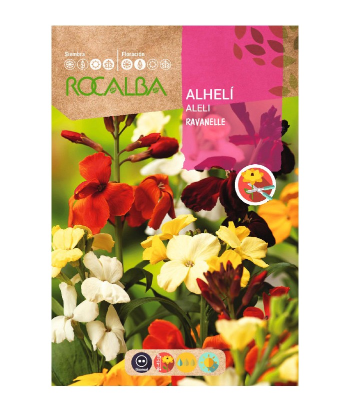 ALHELI RAVANELLE 6GR ROCALBA