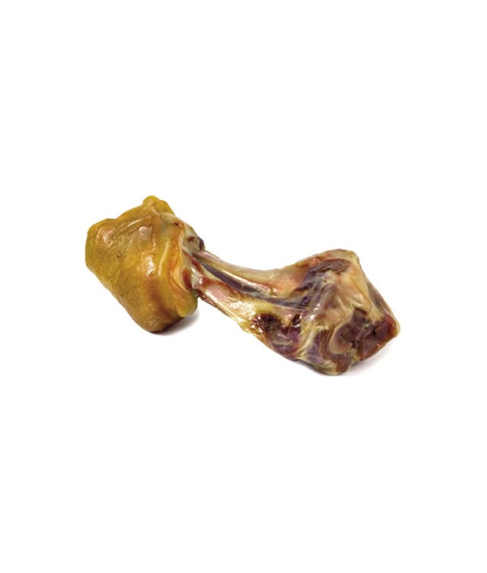 CODILLO JAMON PERROS MEDITERRANEAN 