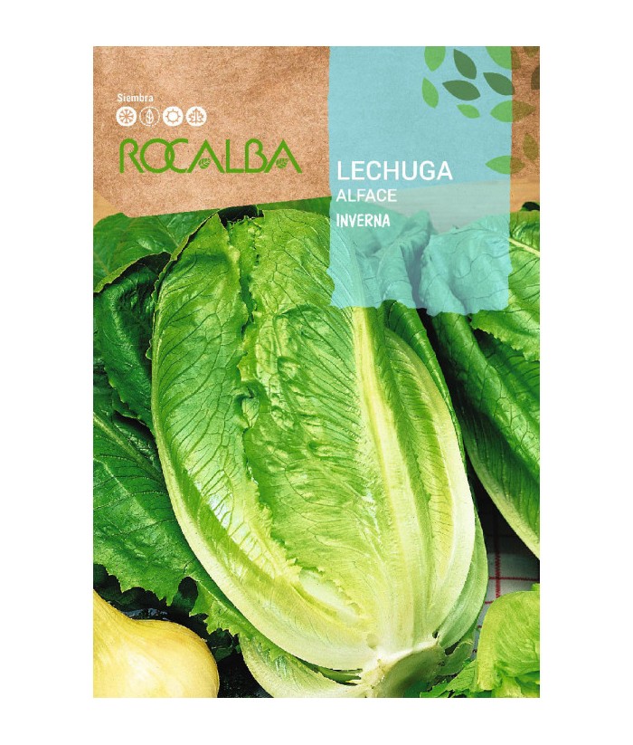 LECHUGA INVERNA 6Gr ROCALBA