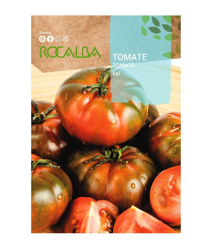 TOMATE RAF 1GR ROCALBA