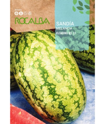 SANDIA KLONDIKE RS57 10GR ROCALBA