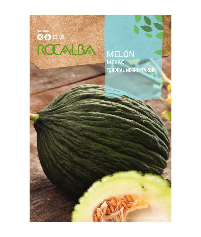 MELON TENDRAL NEGRO TARDÍO 10GR ROCALBA