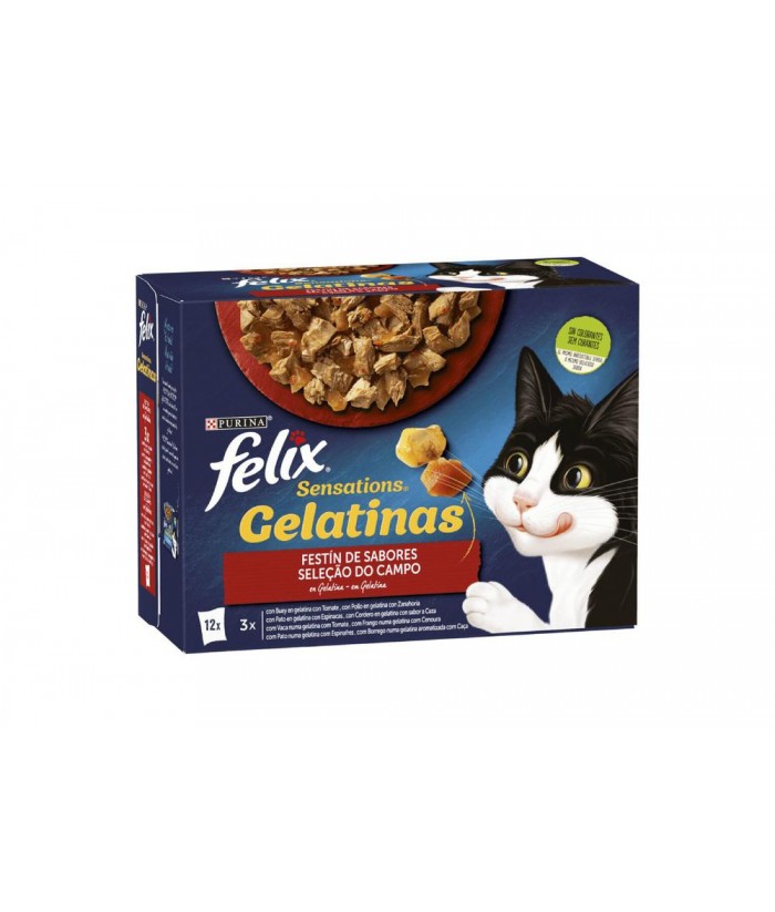 FELIX SENSATIONS SOBRES 12x85GR GELATINA CARNES