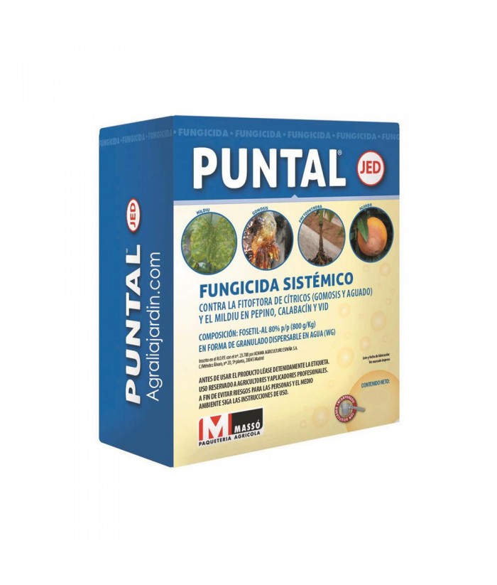 PUNTAL 45GR MASSO FUNGICIDA FOSETIL