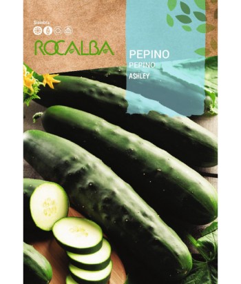 PEPINO ASHLEY ROCALBA 6G