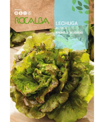 LECHUGA MARAVILLA VERANO ROCALBA 6Gr