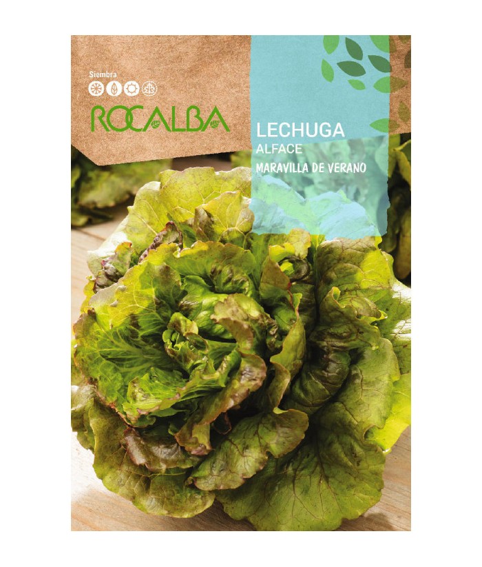 LECHUGA MARAVILLA VERANO ROCALBA 6Gr