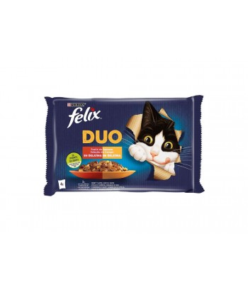FELIX FANTASTIC DUO 12x85GR GELATINA CARNES