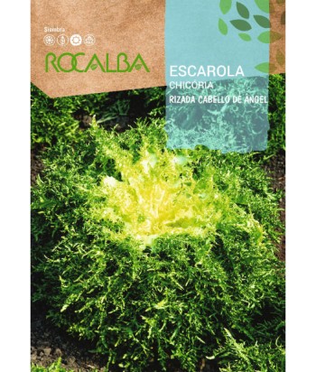 ESCAROLA RIZADA CABELLO ANGEL 6GR ROCALBA