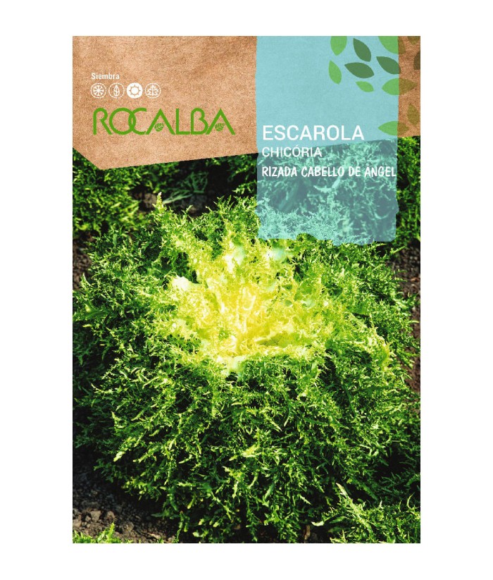 ESCAROLA RIZADA CABELLO ANGEL 6GR ROCALBA