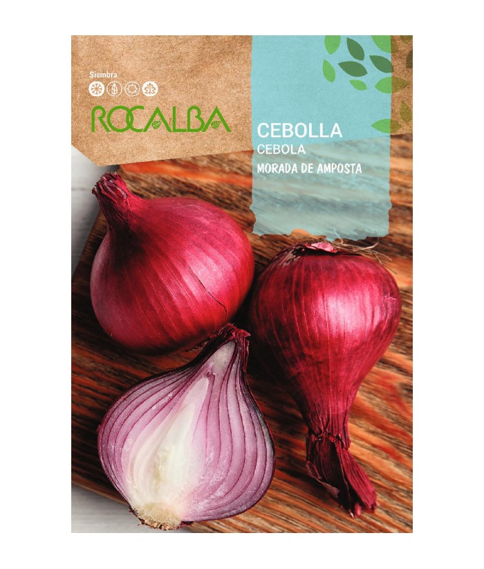 CEBOLLA MORADA DE AMPOSTA 4GR ROCALBA