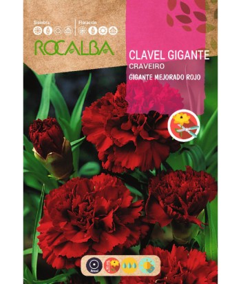 CLAVEL GIGANTE MEJORADO ROJO 1GR ROCALBA