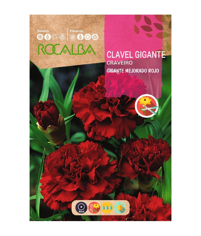 CLAVEL GIGANTE MEJORADO ROJO 1GR ROCALBA