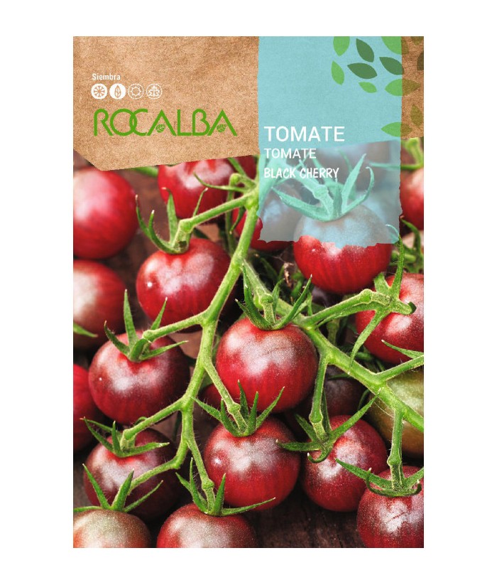 TOMATE BLACK CHERRY 0 1GR ROCALBA