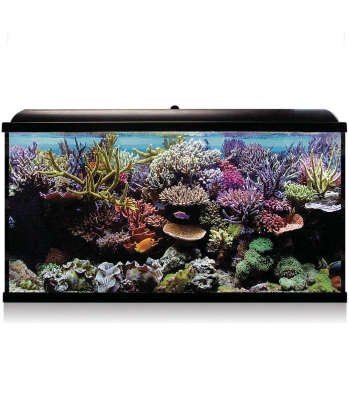 ACUARIO KIT AQUALED PRO 300L NEGRO HYDRA40 MARINO