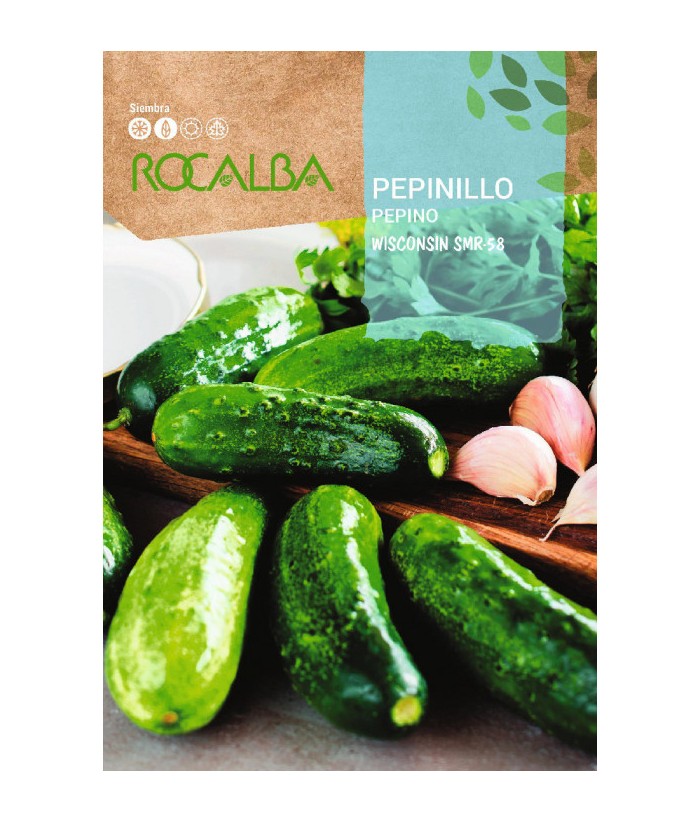 PEPINILLO WISCONSIN ROCALBA 6G