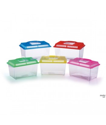 PECERA PLASTICO MEDIANA 27x15x18CM MOLY