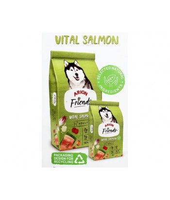 ARION VITAL SALMON 14KG FRIENDS