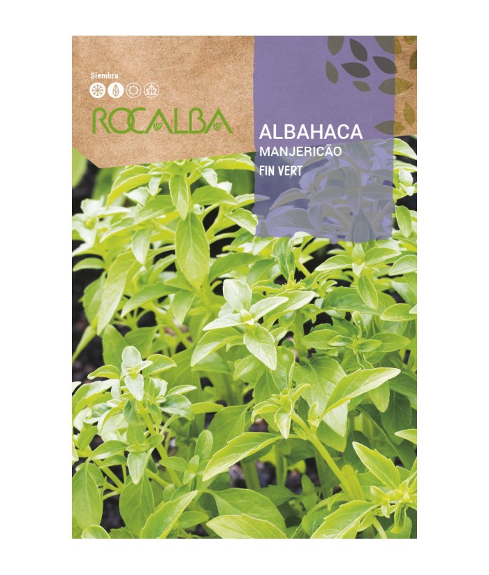 ALBAHACA FIN VERT 4GR ROCALBA