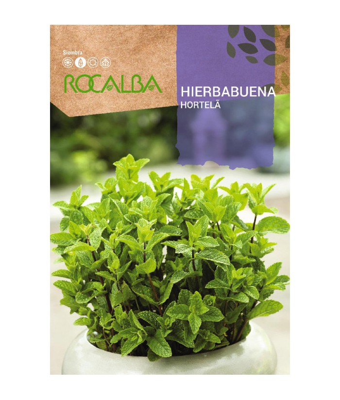 HIERBABUENA ROCALBA 0 2G