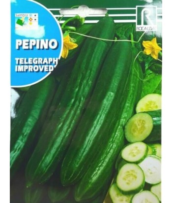 PEPINO HOLANDES TELEGRAPH IMPROVED 1GR ROCALBA