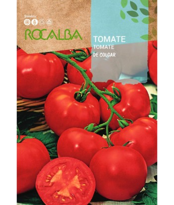 TOMATE DE COLGAR 1GR ROCALBA