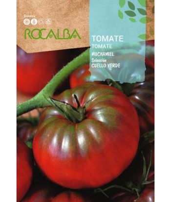 TOMATE MUCHAMIEL CUELLO VERDE 1GR ROCALBA