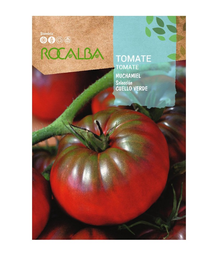 TOMATE MUCHAMIEL CUELLO VERDE 1GR ROCALBA