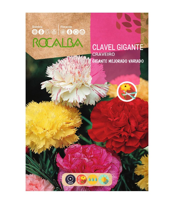 CLAVEL GIGANTE MEJORADO VARIADO 1GR ROCALBA