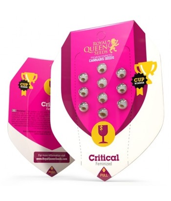 ROYAL QUEEN CRITICAL FEM 3UDS