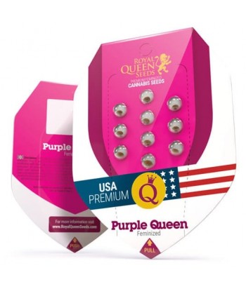 ROYAL QUEEN FEM PURPLE QUEEN 5UDS