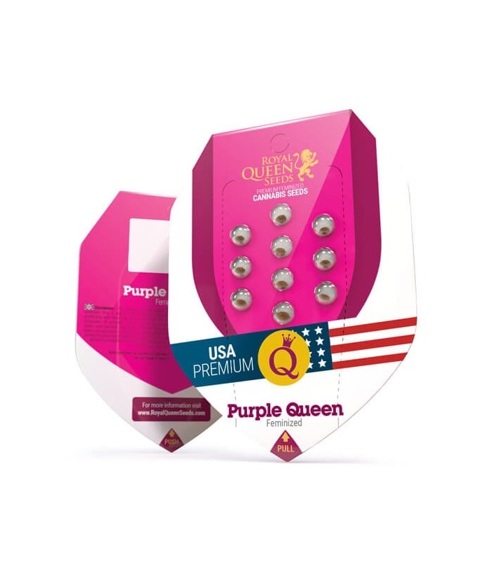 ROYAL QUEEN FEM PURPLE QUEEN 5UDS