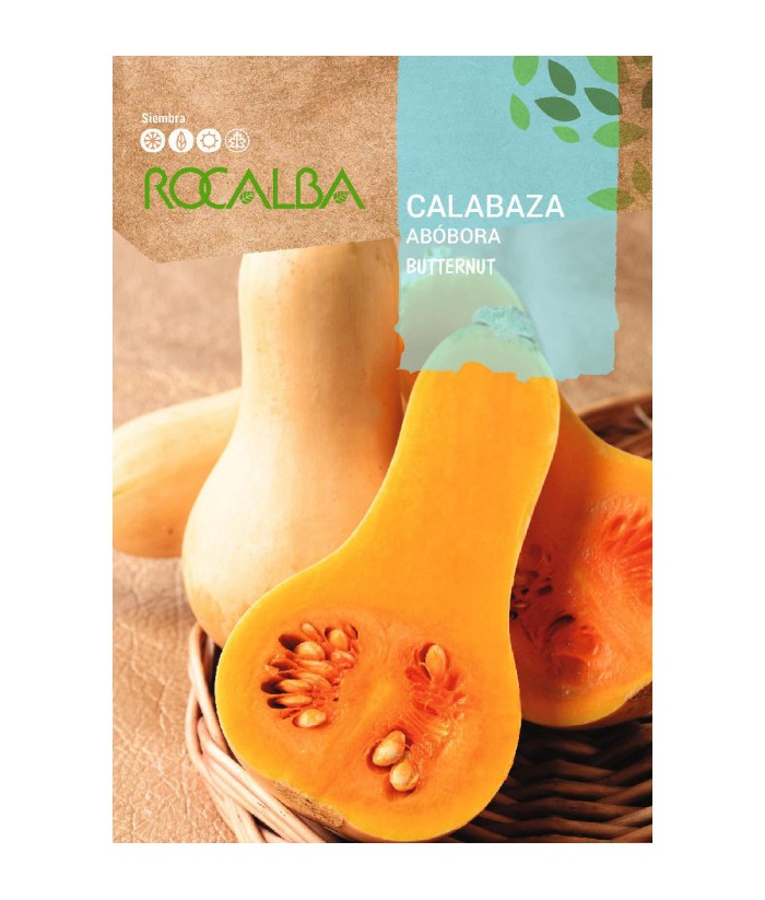 CALABAZA ZAPALLO BUTTERNUT 3GR ROCALBA