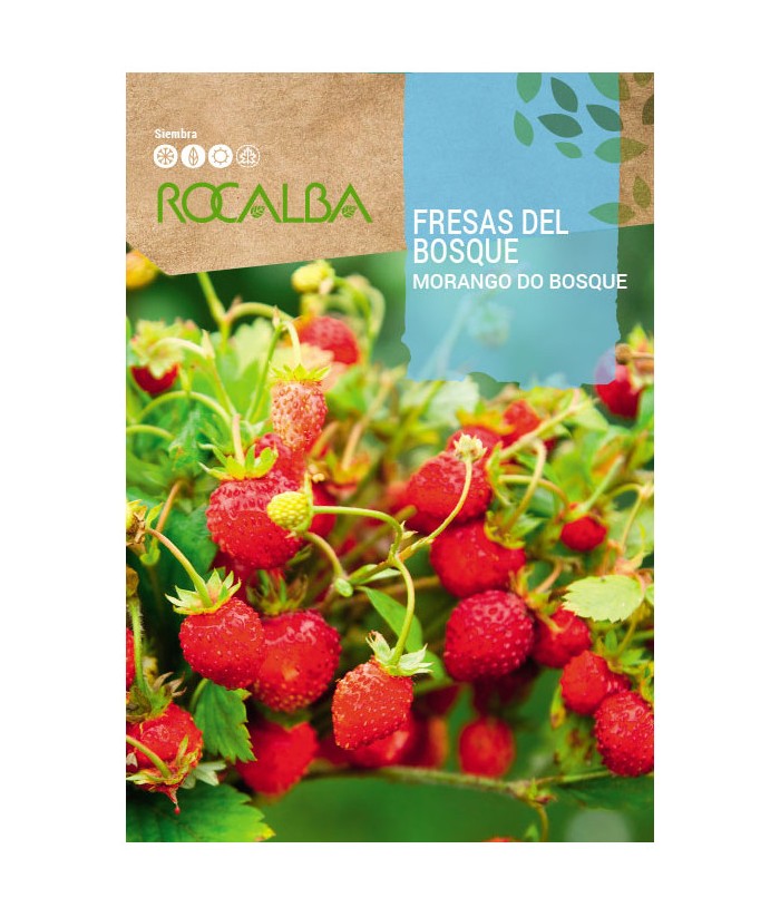 FRESAS DEL BOSQUE 0 1GR ROCALBA