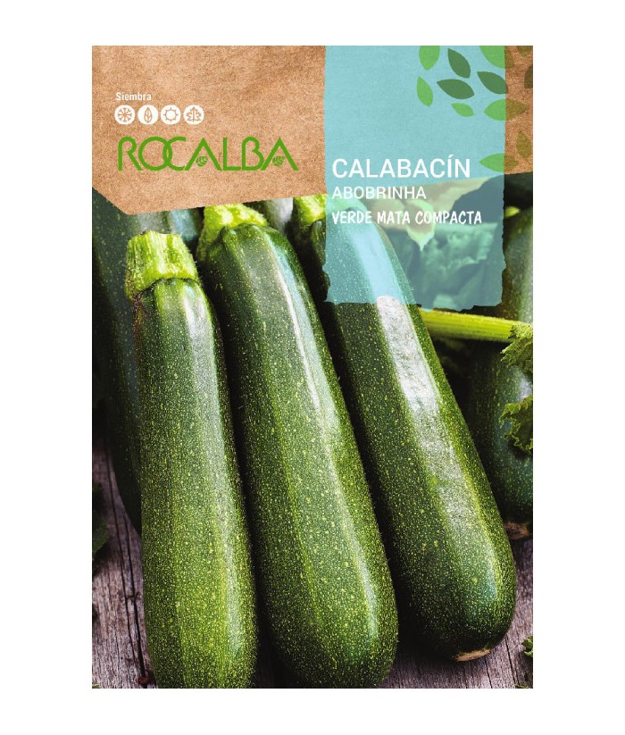 CALABACIN VERDE COMPACTA 8GR ROCALBA