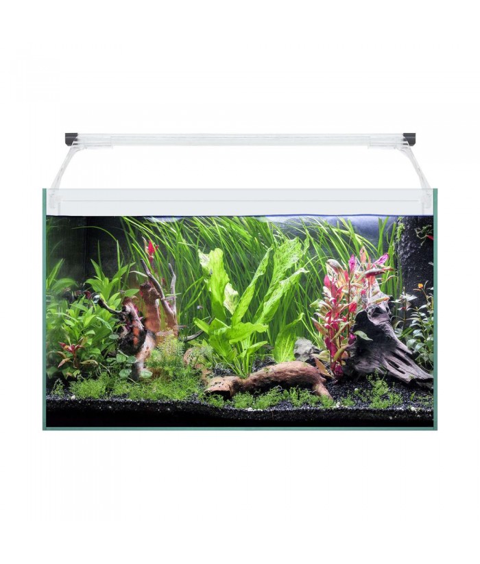 ACUARIO KIT AQUA LIGHT GLASS 50CM 41L