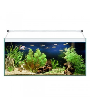 ACUARIO KIT AQUA LIGHT GLASS 70CM 41L