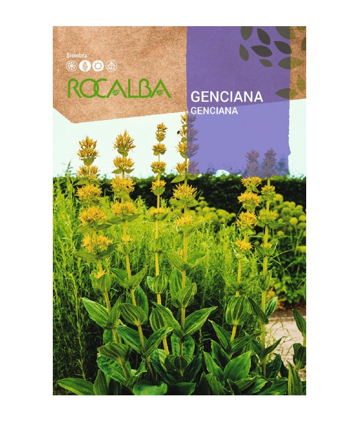 GENCIANA 0 2GR ROCALBA