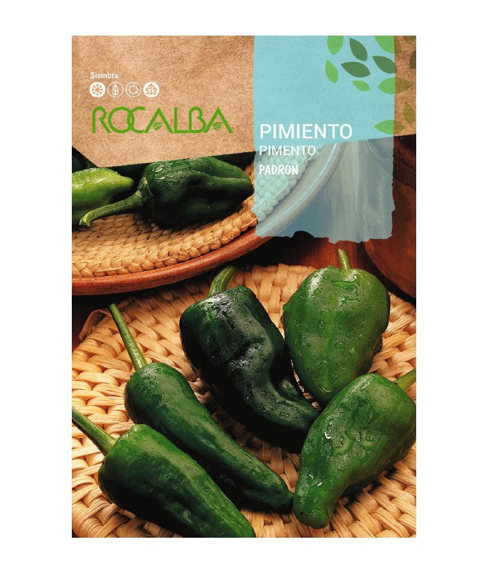 PIMIENTO PADRON 1GR ROCALBA