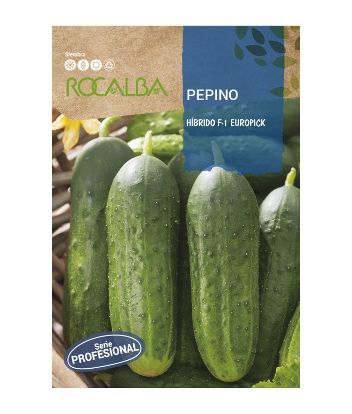 PEPINO HIBRIDO F-1 EUROPICK 3GR ROCALBA 