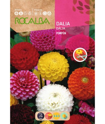 DALIA POMPON 2GR ROCALBA