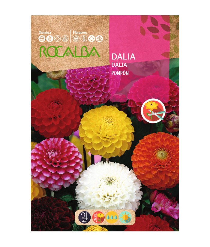 DALIA POMPON 2GR ROCALBA